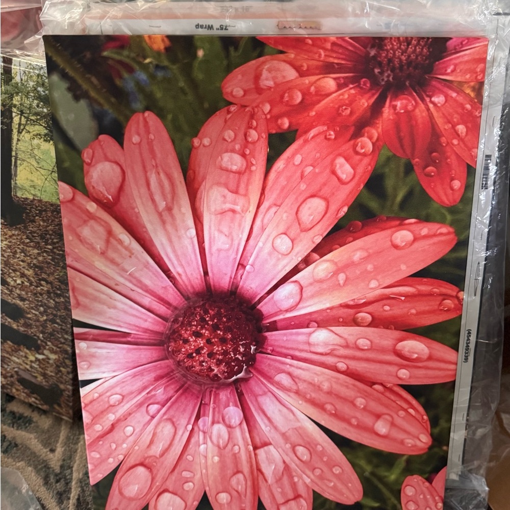 Vibrant Pink Flower Photography Print